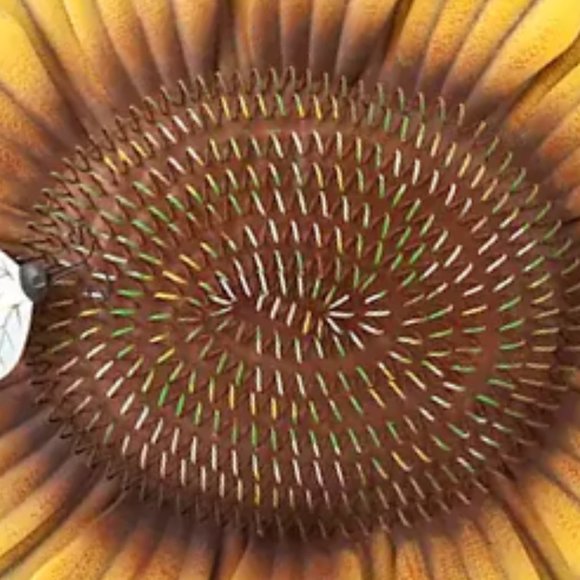 Hanging Metal Sunflower w/Bumble Bee Wall Décor - Picture 3 of 6